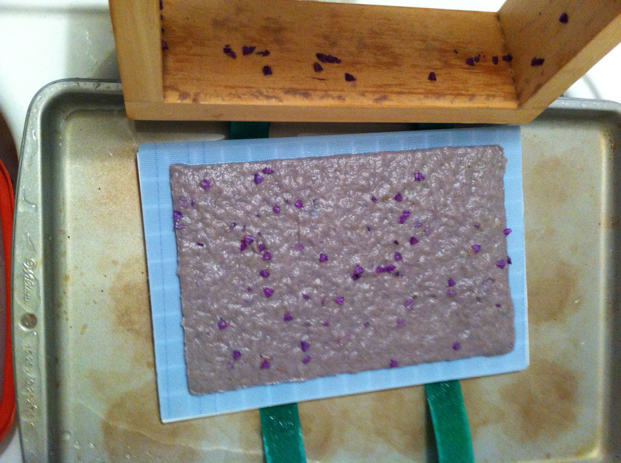 Paper Pulp Crafting: A Tray Made From Recycled Paper Scraps