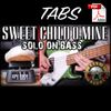 Sweet Child O Mine Solo On BASS Tabs