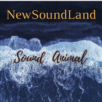 NewSoundLand by Sound Animal