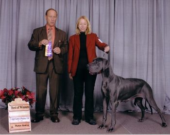 Quicksilver El Loco Blu Angel, Best of Winners from Bred-By class owner handled 3 pts. Calgary Kennel & Obedience Club, December 2nd, 2006 Judge- James E. Frederiksen
