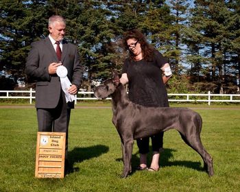 "Rainey", Eddy's daughter winning Group 4th at IDC Show, Saturday August 13th, 2011, Judge Guy Jeavons. Breeder/Owner Handled by Kerry Thorbourne
