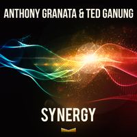 Synergy  by Anthony Granata & Ted Ganung 