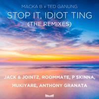 Stop It, Idiot Ting (The Remixes)  by Macka B, Ted Ganung 
