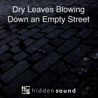 Dry Leaves Blowing Down an Empty Street by Hidden Sound