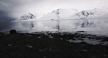Arnafjörður
