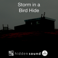 Storm in a Bird Hide
