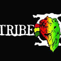 Tribe-O Merch