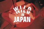 Wild in Japan : Compilation 