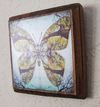 5x5 Butterfly design on wood