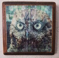 5x5 Owl design on wood