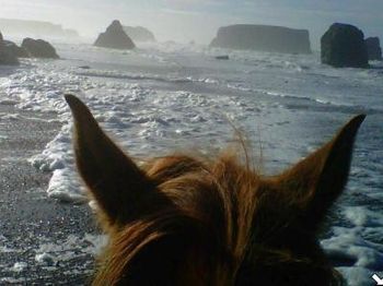 Horses' eye view on Janeen on Bandon's south beach, after riding on Hwy's 101 and 42 for 6 miles to get there!
