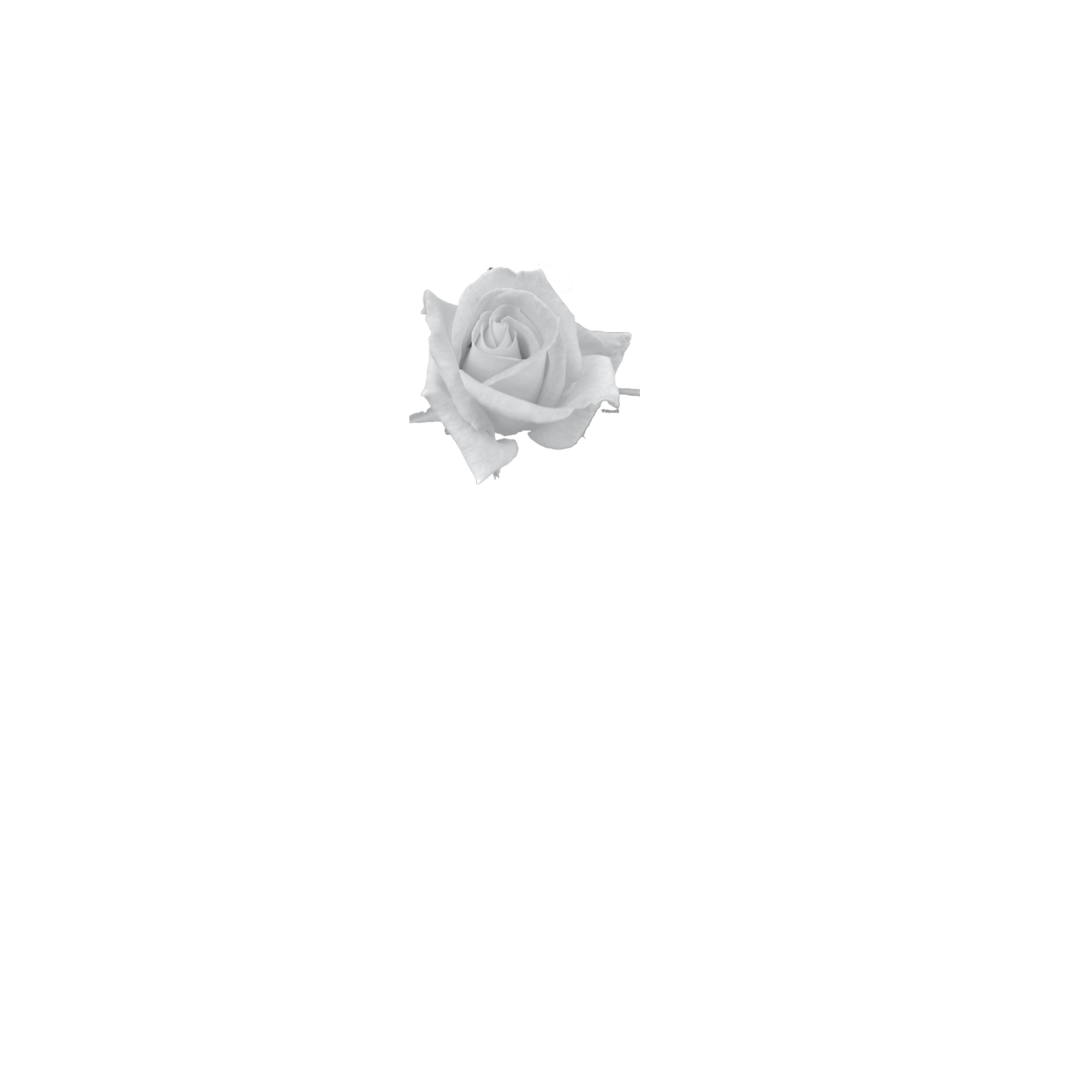 MARYEN CAIRNS