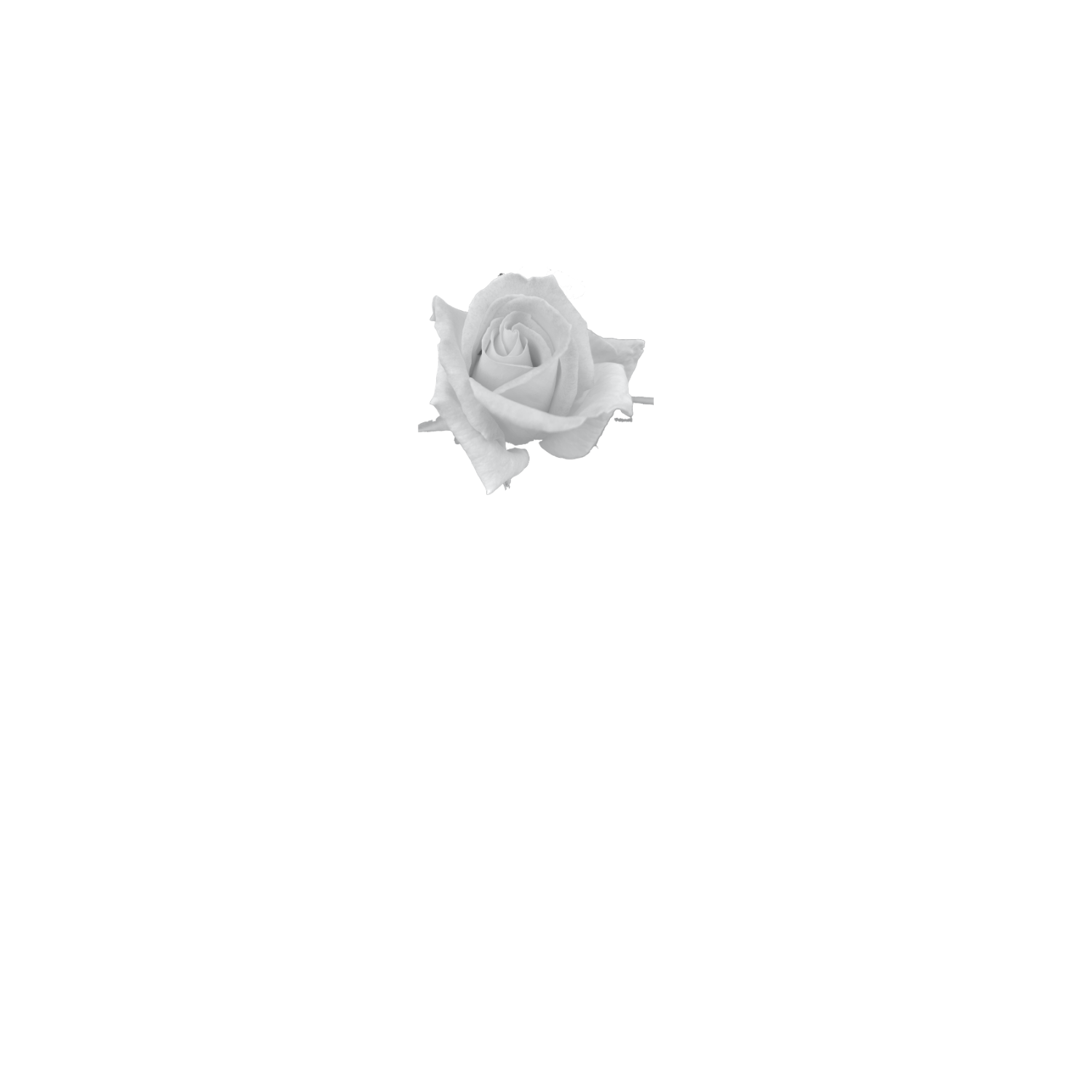 Maryen Cairns