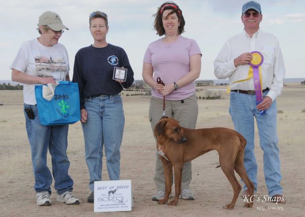 Mara BOB Saturday AKC LC Trial - 5pt Major