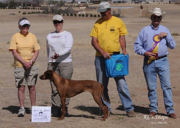 Mara winning LC BOB - AKC Mother's Day Trial May 2011