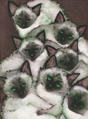 Siamese Kittens
