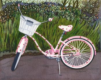 Pink Bike "Nellie"
