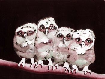 Owlettes
