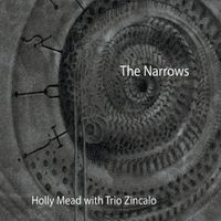 The Narrows by Holly Mead