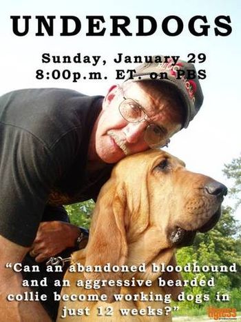 Holly, one of our rescue dogs, and her buddy Larry Allen. This was the ad for the BBC Documentary called "Underdogs" starring Holly's training as a search dog
