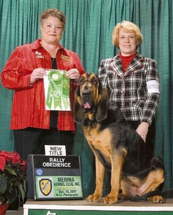 new Rally Novice title for Rose - Wychway's Puttin' On the Dawgg RN - and owner MaryBeth Cline
