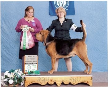 Baby daddy AKA Winston (Honeytree's GGM Finest Hour, RN, BN, MT, CHIC) wining Best male Veteran at the 2010 ABC Eastern Regional Supported Entry
