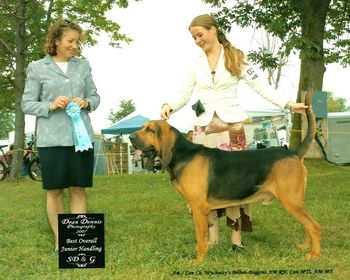 Baggins helped a young Quebec teen win Best Junior Handler at our 2007 Canadian Nationals even though he didn't understand any French and she didn't speak any English! The language of dogs is truly international!
