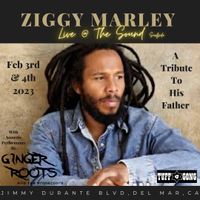 Ginger Roots Acoustic Performance at THE SOUND opening for ZIGGY MARLEY