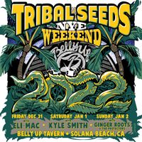 Tribal Seeds w/ Ginger Roots and The Protectors