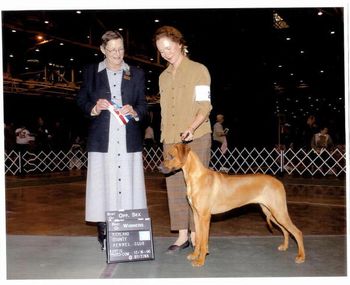 Shown here winning BW and BOS to sire Mojave at the Clevelnad IX shows in December 2006 for a 5 point major at 8 months old. She looks like a puppy but showed like a dream!
