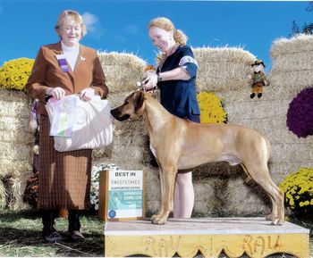 Victor taking Best in Sweeps at Kanadasaga Kennel Club (supported entry) in NY on 10/2/10!
