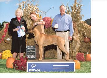 Nice major reserve win and Best Bred By Exhibitor at the October 2007 RRRRCOM Regional Specialty.

