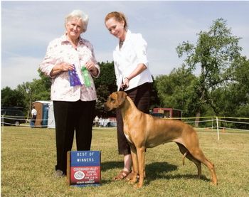 Best of Winners at the Conewango Valley Kennel Club show in June 2007.
