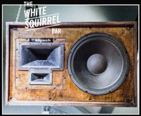 The White Squirrel Bar co-bill w/Jason Chaffee