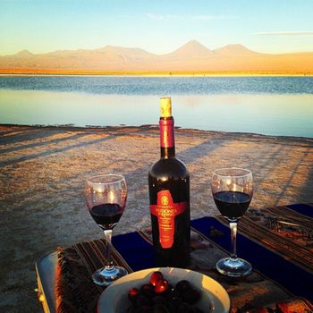 Atacama and wine, Chile

