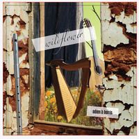 Wildflower CD - Delivered to your door Worldwide