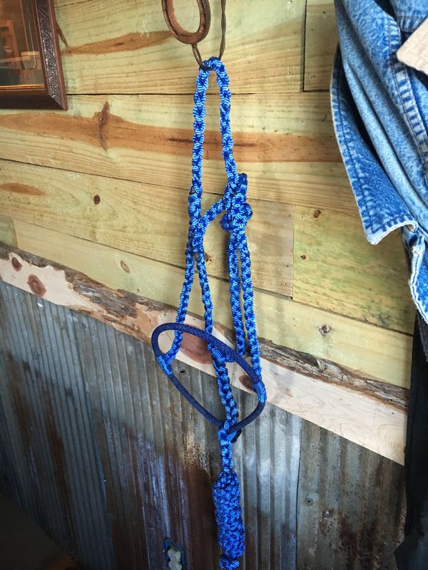 Black Muletape w yellow rope noseband