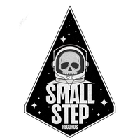 Small Step Records Sticker