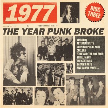 1977 The Year Punk Broke
