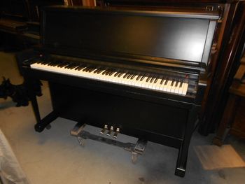 1977 Wurlitzer Studio with its polished brass pedals, new key covers and new satin black finish. The dog was not painted.
