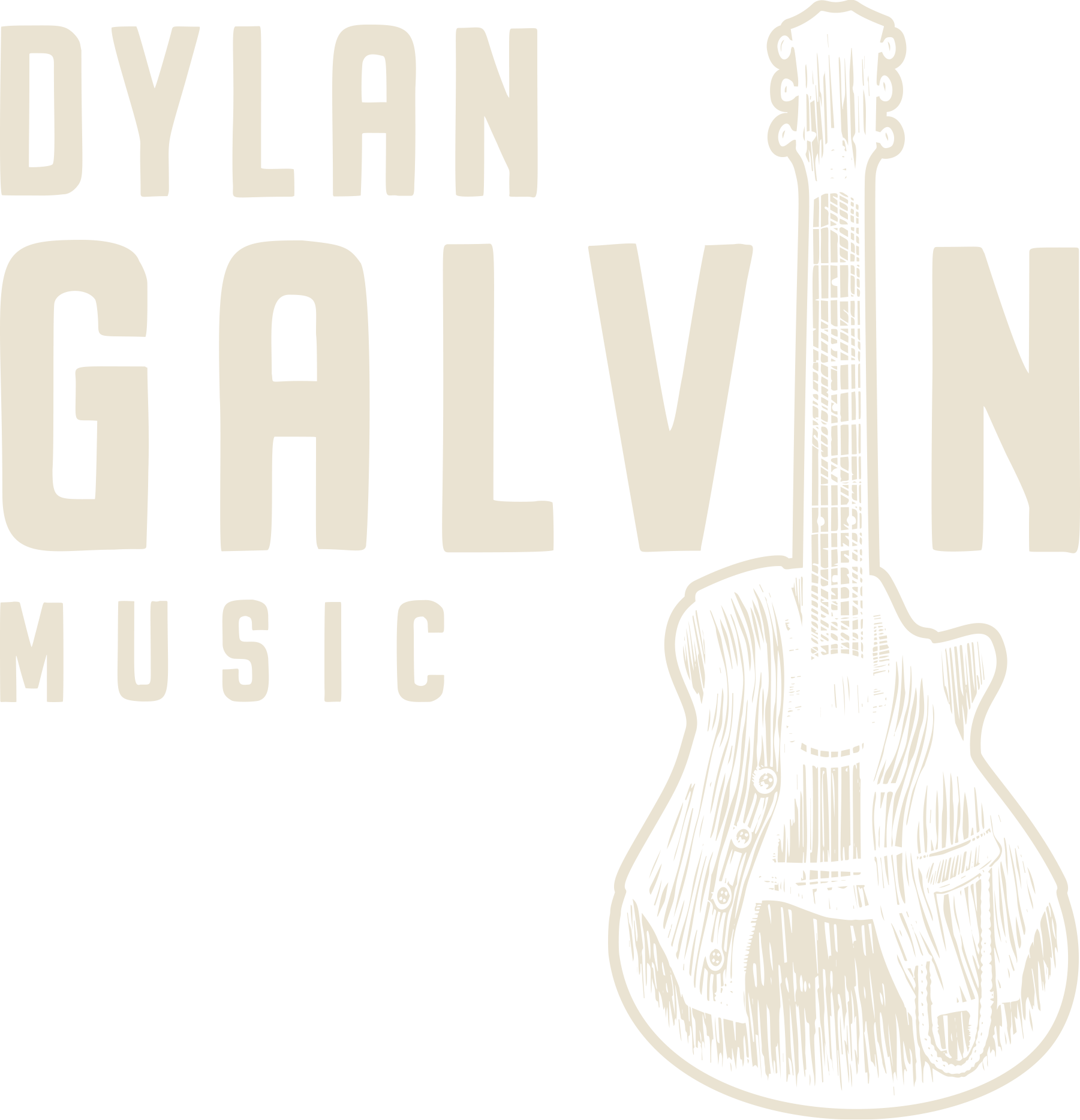 Dylan Galvin<br>Bespoke Acoustic Guitar