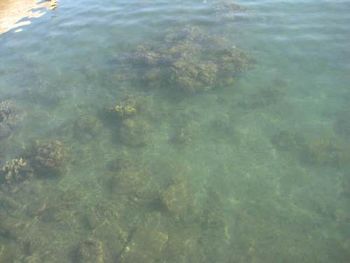 Clear Water
