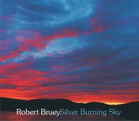 "Silver Burning Sky" CD
