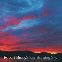 Silver Burning Sky