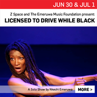 Licensed to Drive While Black, a solo-show by Nkechi