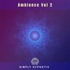 Ambience Vol 2 – 10 Track Royalty Free Collection