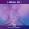 Ambience Vol 1 – 10 Track Royalty Free Collection