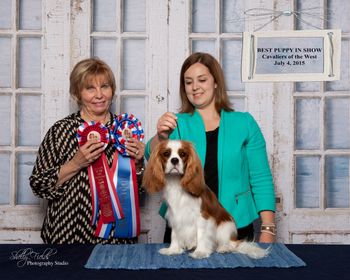 Harley winning Best Puppy In Show under breeder-judge Shirley Henry (Shirmont Cavaliers) at the COTW Specialty in Oakland, CA on July 4th 2015
