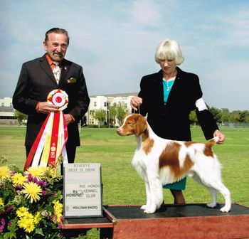 Joe & Kathy going Reserve Best In Show at Rio Hondo Kennel Club
