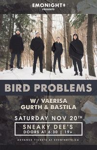 GURTH w Bird Problems, Vaerisa, and Bastila